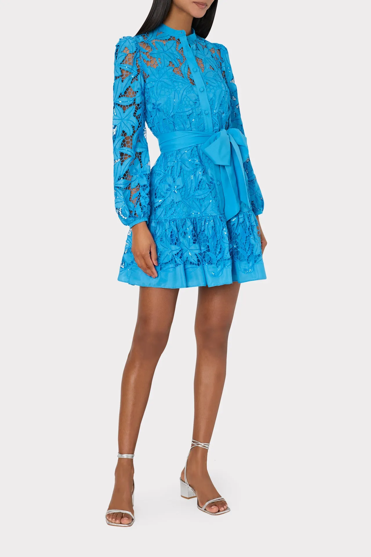 Nellie Sequin Embellished Eyelet Dress