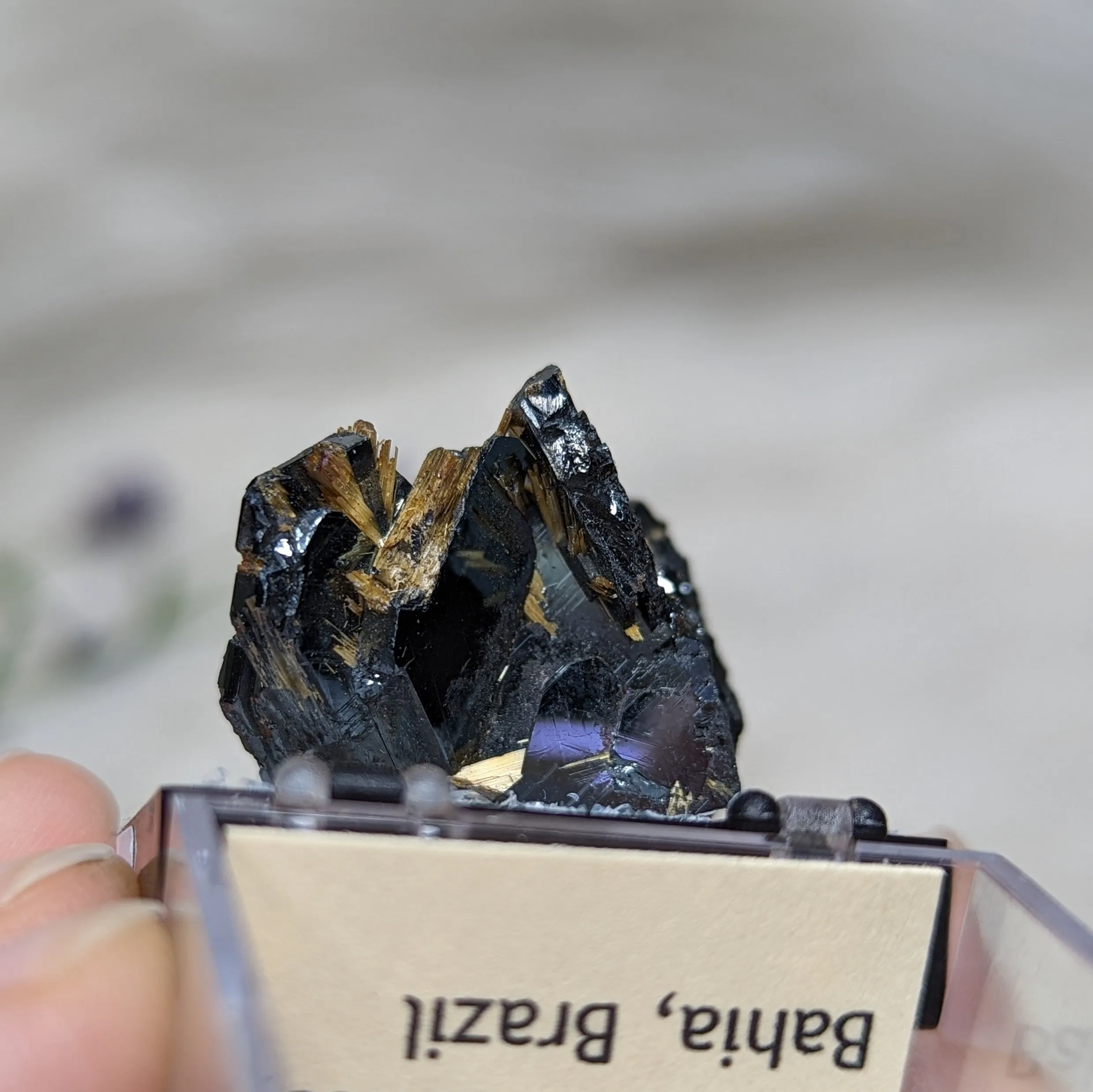 Rare Golden Rutile & Hematite Collectors Specimen ~Locality: Novo Horizonte, Bahia, Brazil