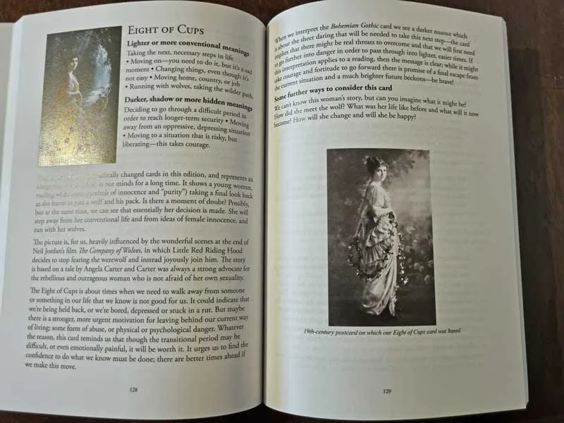 The Bohemian Gothic Tarot companion book